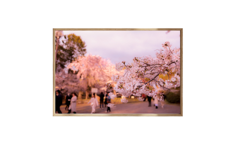 affiches japonaise categorie decoration harmonie du japon