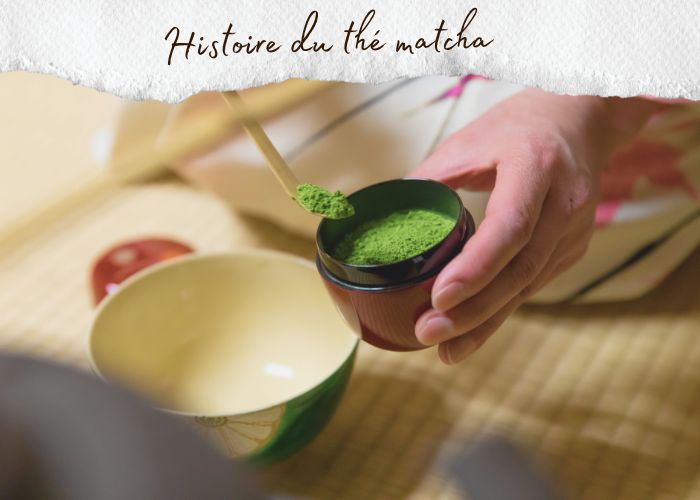thé matcha histoire